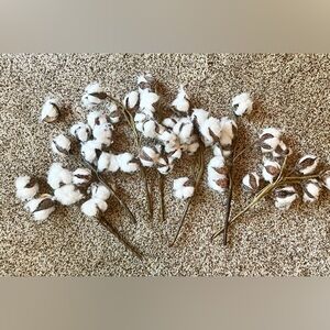 EUC Set of 7 Faux Cotton Stems 12” picks